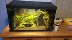 Aquarium, Dieren en Toebehoren, Vissen | Aquaria en Toebehoren, Ophalen of Verzenden, Zo goed als nieuw, Leeg aquarium