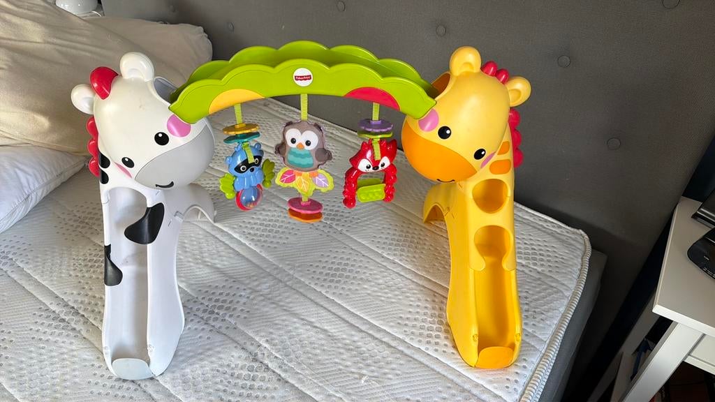 Fisherprice baby en peuter gym, Kinderen en Baby's, Speelgoed | Fisher-Price, Ophalen of Verzenden, Zo goed als nieuw, Speelset