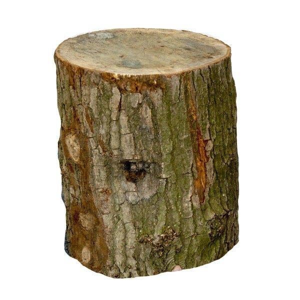 Gezocht: Boomstam doorsnede 40cm, Minder dan 3 m³, Ophalen of Verzenden, Overige houtsoorten, Stammen