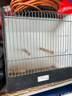 Kooi, Dieren en Toebehoren, Meerdere dieren, Parkiet