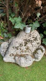 Parasolvoet egel, Ophalen, Minder dan 1 meter, Parasolvoet