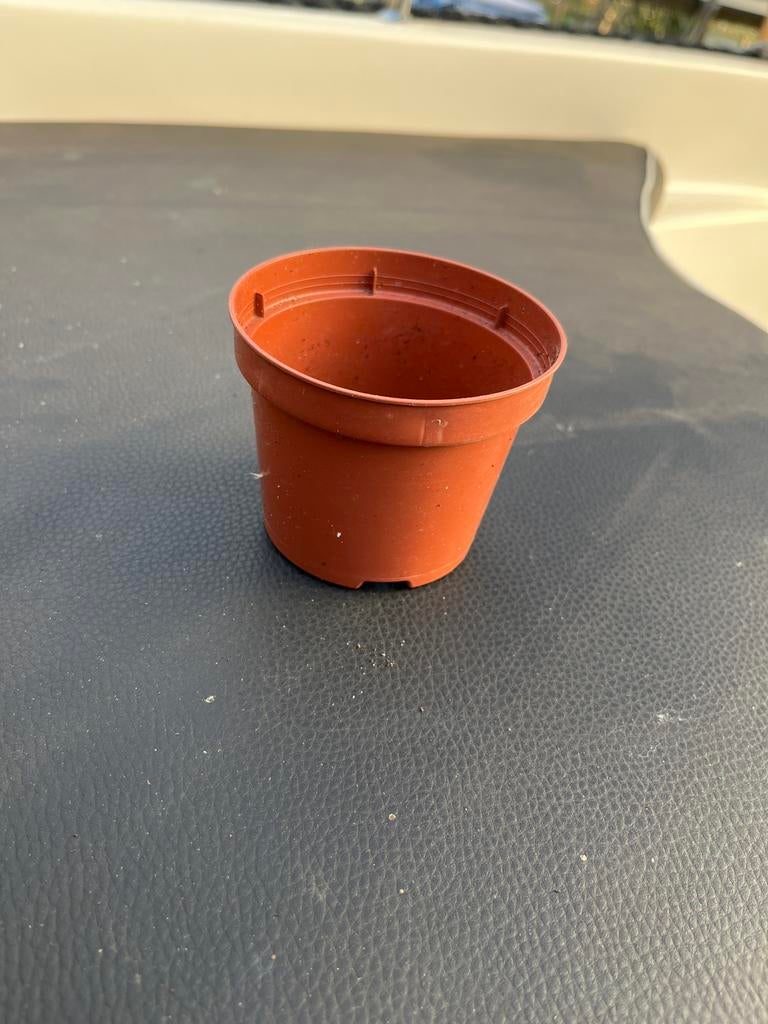 Klein Kweekpotje voor jomge planten, perkgoed,aardbeien enz, Kunststof, Minder dan 30 cm, Minder dan 60 cm, Rond