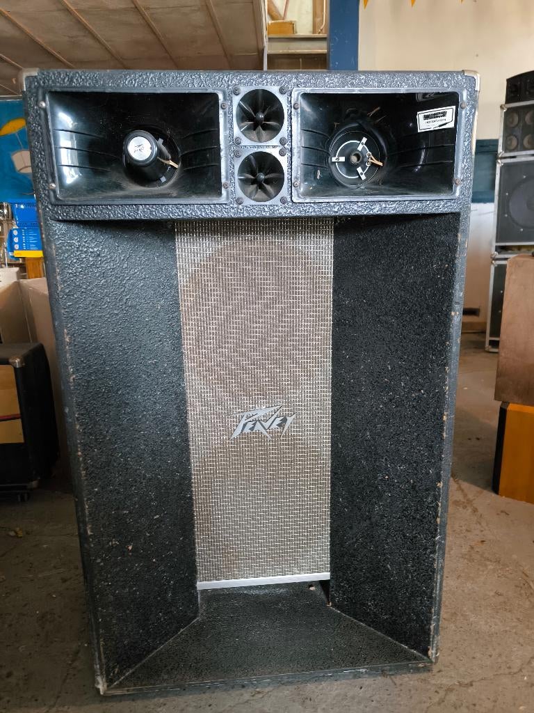 Peavey Vocal Projector 215ht, Ophalen, Gebruikt, Minder dan 500 watt