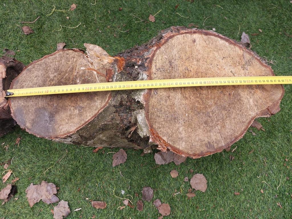 Haardhout o.a. berk, Tuin en Terras, Haardhout, Stammen, Berkenhout, Minder dan 3 m³, Ophalen