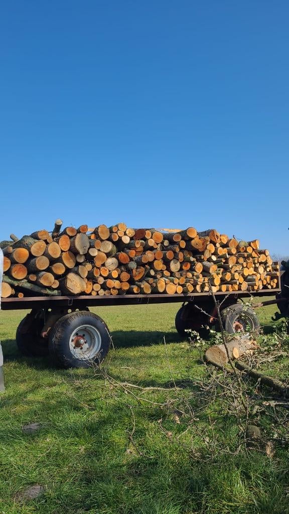Hout op stam, 6 m³ of meer, Ophalen of Verzenden, Overige houtsoorten, Stammen