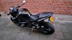 Kawasaki Z750 Full Black 2012 - Klaar voor het seizoen!, 750 cc, Sportuitlaat, 4 cilinders, Motorrijbewijs A