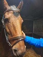 Extra Full bruin onderlegd hoofdstel, Dieren en Toebehoren, Ophalen of Verzenden, Zo goed als nieuw, Dressuur