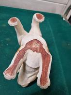 beeld jack russel polstone kunststof, Ophalen of Verzenden