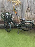 Crown Holland Transportfiets 28 inch - Groen, 53 tot 56 cm, Crown, Versnellingen, Ossenkamppad 25