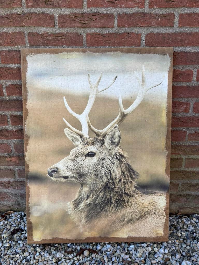 Canvas doek hert, Ophalen, Gebruikt