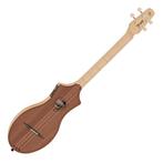 Seagull M4 Mahogany EQ Dulcimer, ., Nieuw, Ophalen of Verzenden, Akoestische gitaar