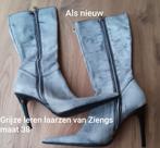 Grijze leren laarzen van Ziengs maat 38, Hoge laarzen, Ophalen of Verzenden, Zo goed als nieuw, Ziengs