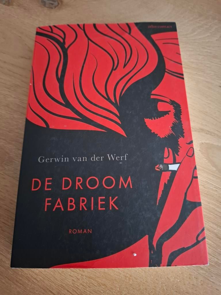 De Droomfabriek - Gerwin van der Werf, Ophalen of Verzenden