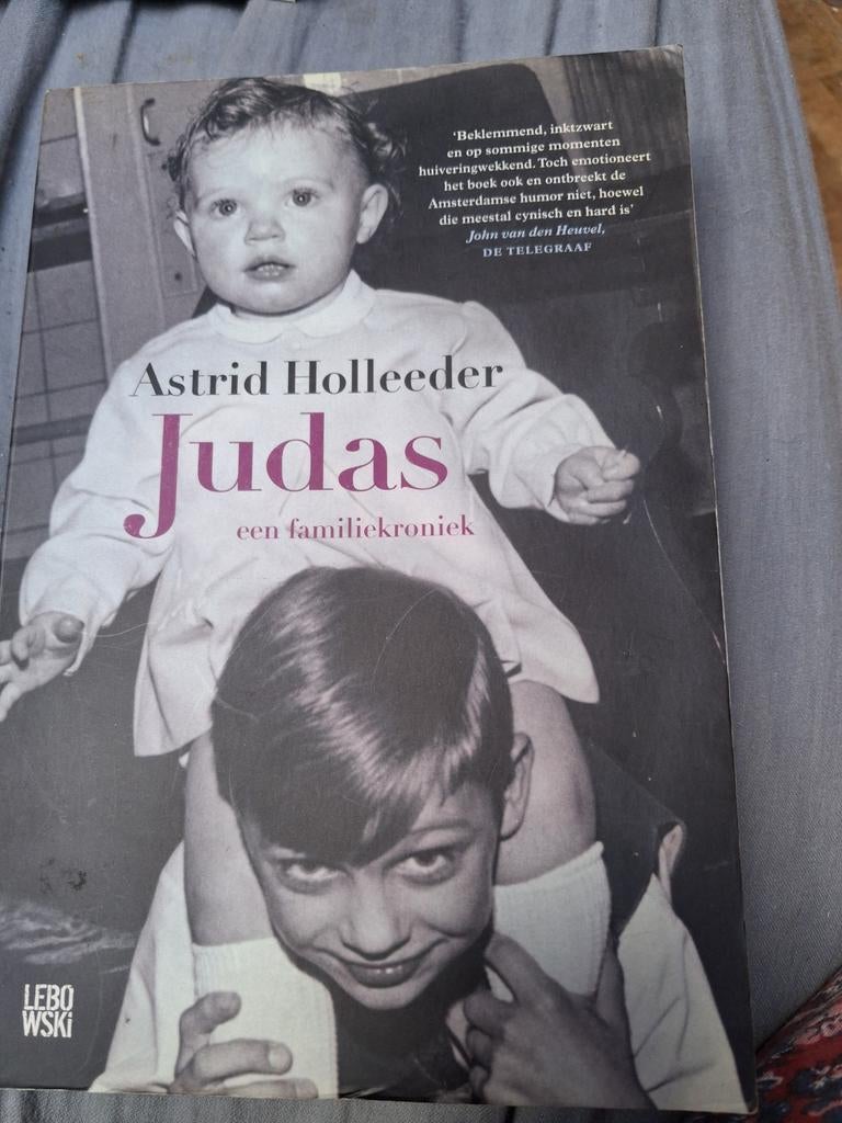Astrid Holleeder - Judas, Boeken, Detectives, Zo goed als nieuw, Ophalen of Verzenden