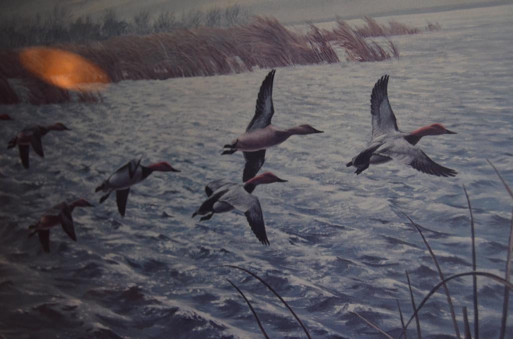 Maynard Reece art-print 1972 Eenden in zeer goede staat, Ophalen of Verzenden