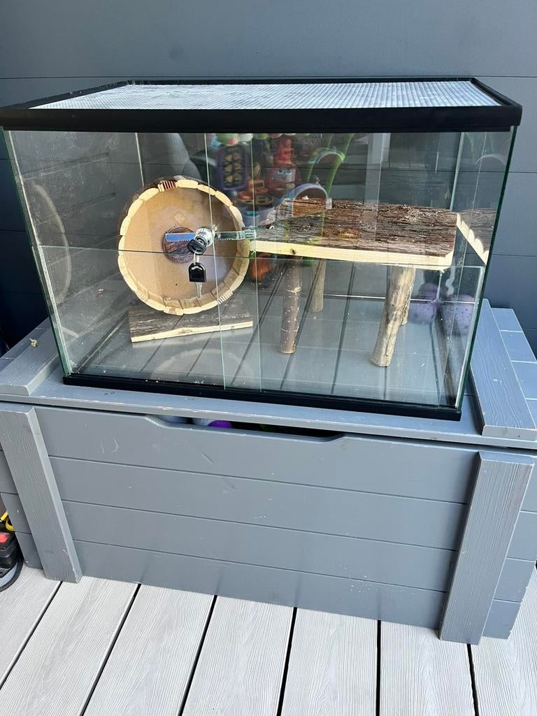 Knaagdier terrarium, Ophalen, Zo goed als nieuw