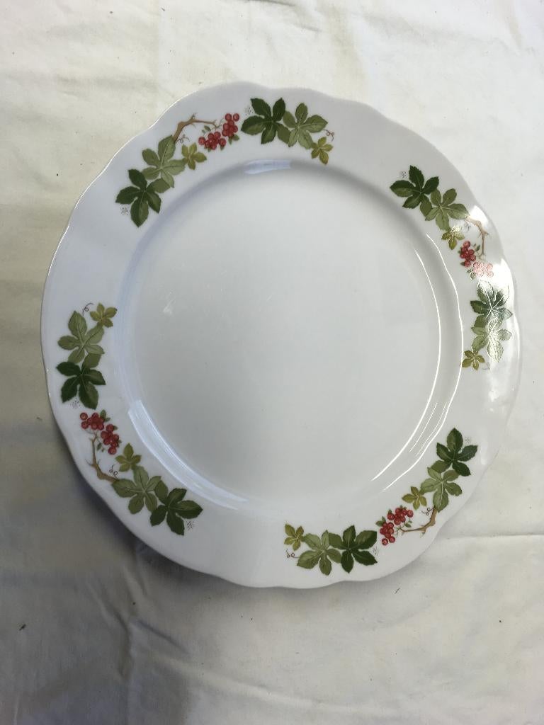 Mooie dinnerbord met bloem design, doorsnee 27 cm, Ophalen of Verzenden, Zo goed als nieuw, Bord(en), Overige stijlen