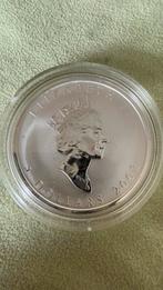 Zilveren Maple Leaf 2002 1 Troy Horse (privymark), Postzegels en Munten, Edelmetalen en Baren, Verzenden, Zilver