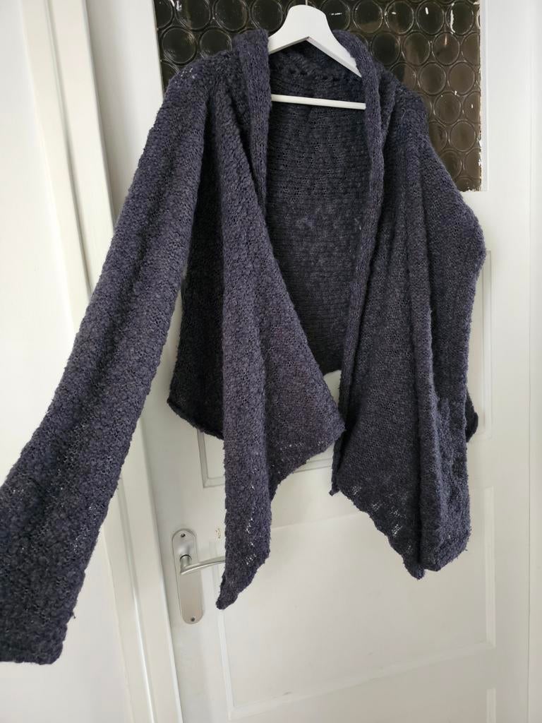 Mooie Cardigan, Ophalen of Verzenden, Zo goed als nieuw