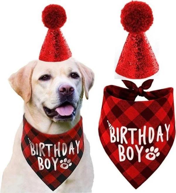 Hondrn verjaardag set Birthday Boy rood, Dieren en Toebehoren, Honden-accessoires, Nieuw, Ophalen of Verzenden