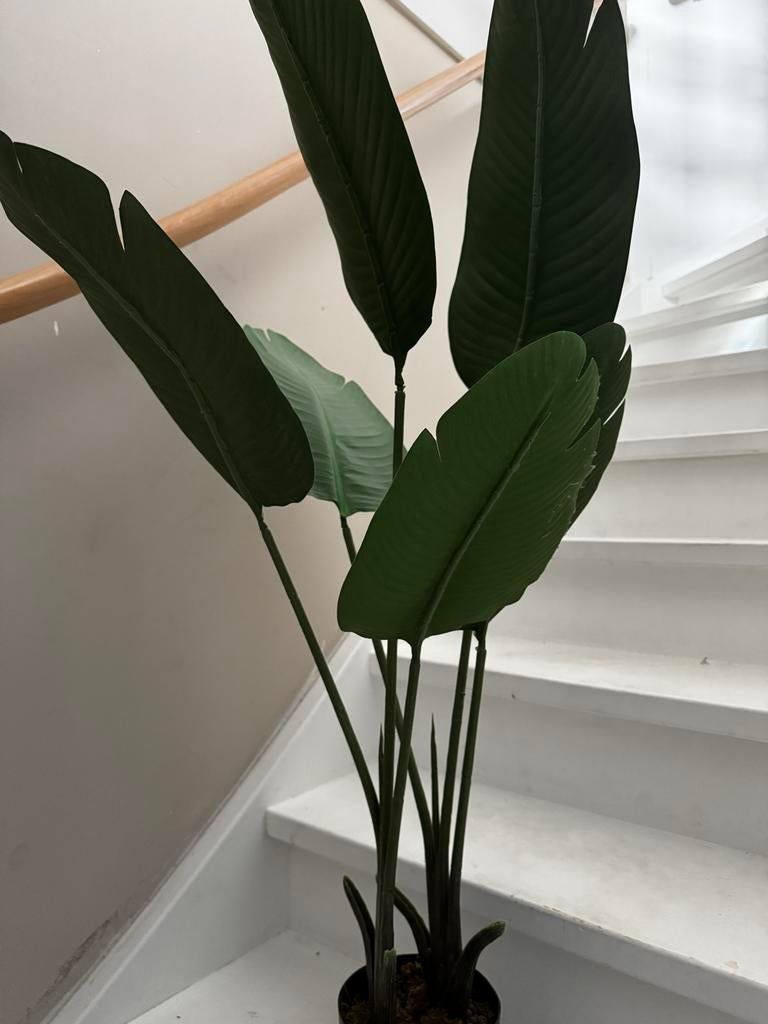 Kunstplant voor binnen of buiten, Ophalen of Verzenden, Zo goed als nieuw, Binnen