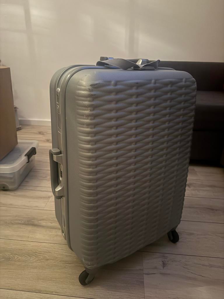 Grijze reiskoffer, Ophalen, 40 tot 60 cm, Gebruikt, 20 tot 30 cm