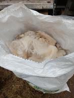 Witte schapenwol, ongewassen, Hobby en Vrije tijd, Ophalen