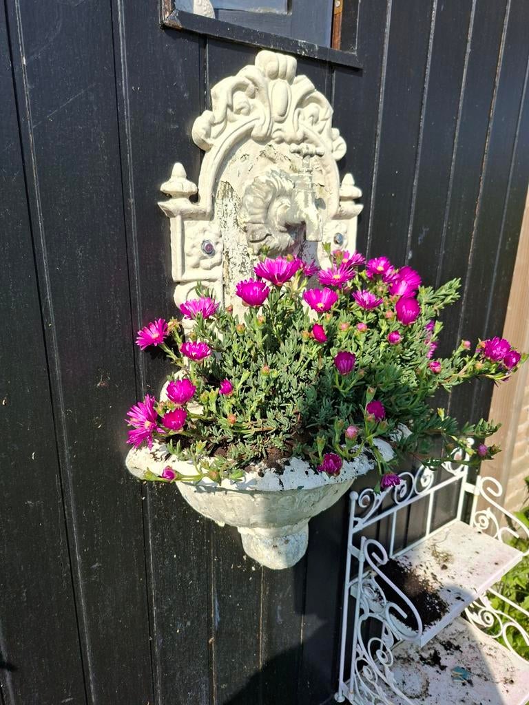 Oude zwarte schuurdeur met " fonteintje" en plantenrekje., Ophalen