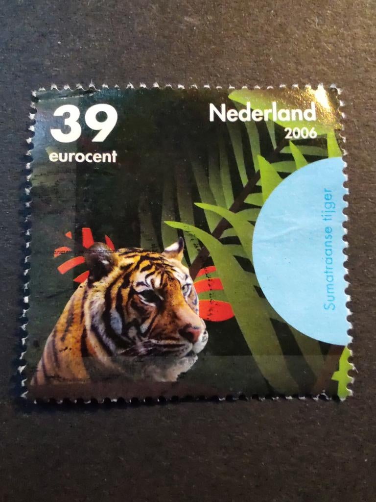 2441h Sumatraanse tijger 2006 bedreigde dieren, Ophalen of Verzenden