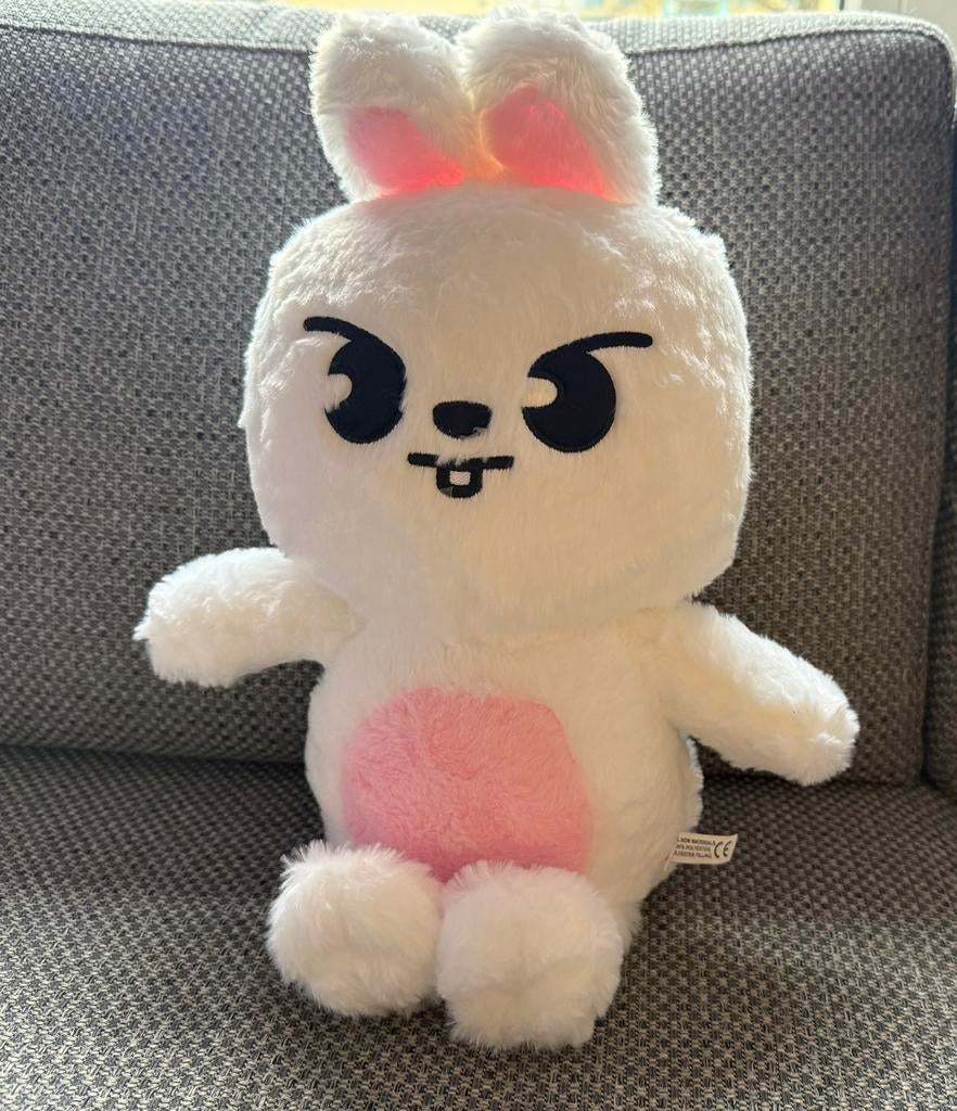 Lee Know Stray Kids Leebit XL teddy knuffel nieuw, Ophalen of Verzenden, Nieuw, Overige typen