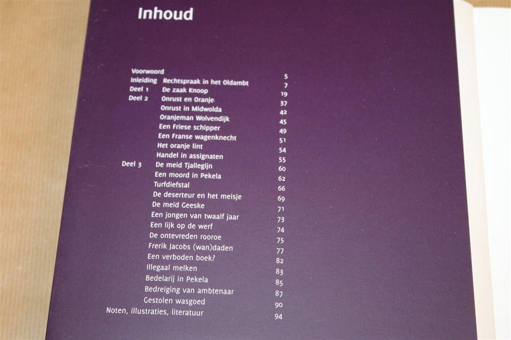 Naar het Gerecht — Criminele Zaken Oldambt 1750-1800, Boeken, Ophalen of Verzenden, Zo goed als nieuw