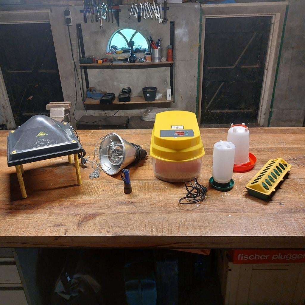 Broedmachine met toebehoren, complete set, Dieren en Toebehoren, Pluimvee | Toebehoren, Ophalen, Zo goed als nieuw, Broedmachine