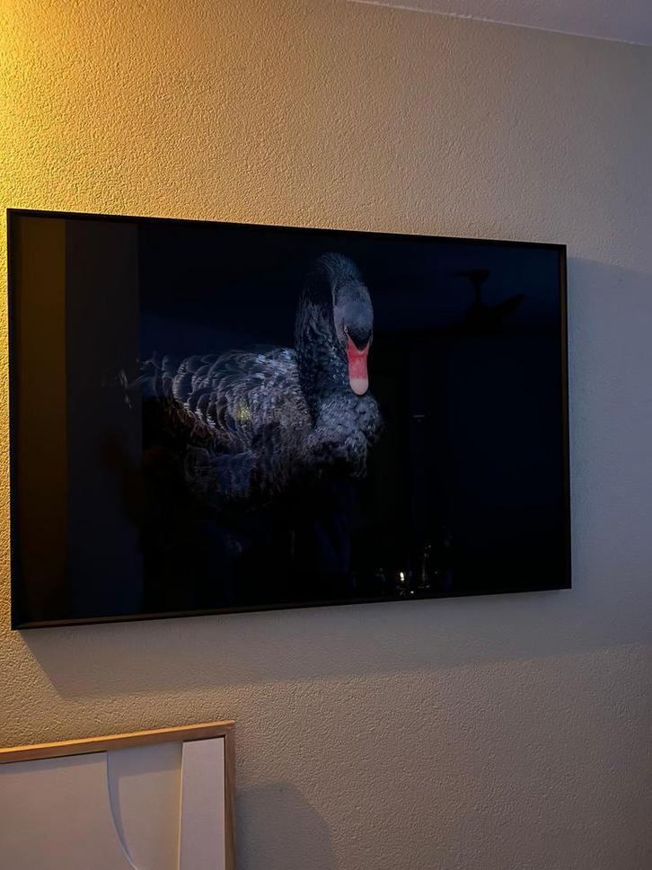 Glasschilderij - Perfect voor elke woonkamer, Huis en Inrichting, Woonaccessoires | Schilderijen, Tekeningen en Foto's, Zo goed als nieuw