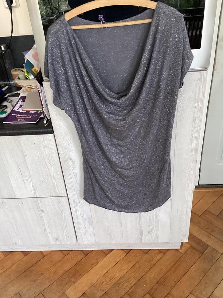 Miss Etam Grijs Topje met Zilveren Spikkels, Maat 40, Kleding | Dames, Tops, Gedragen, Maat 38/40 (M), Grijs, Korte mouw, Ophalen of Verzenden