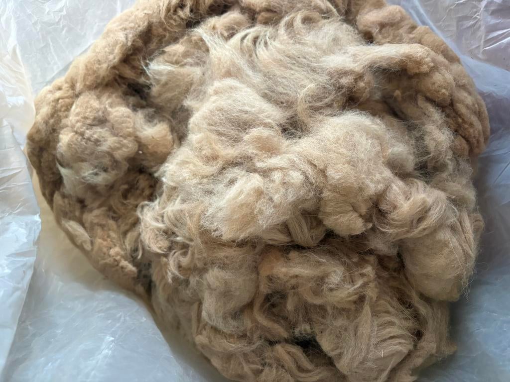 3 zakken alpacawol beige sand en zwart antraciet, Hobby en Vrije tijd, Ophalen, Zo goed als nieuw, Spinwol