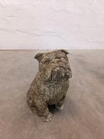 Vintage betonnen hond tuinbeeld, Ophalen, Dierenbeeld, Tweedehands, Tweedehands