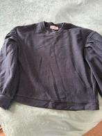 Pom Amsterdam Trui sweather met Gouden Draad, Ophalen of Verzenden, Zo goed als nieuw, Maat 38/40 (M), Blauw