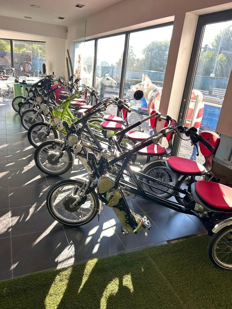 DUOFIETSEN met motor : fun2go, PF, Orthros+ garantie, Ophalen, Zo goed als nieuw, Fun2go van raam