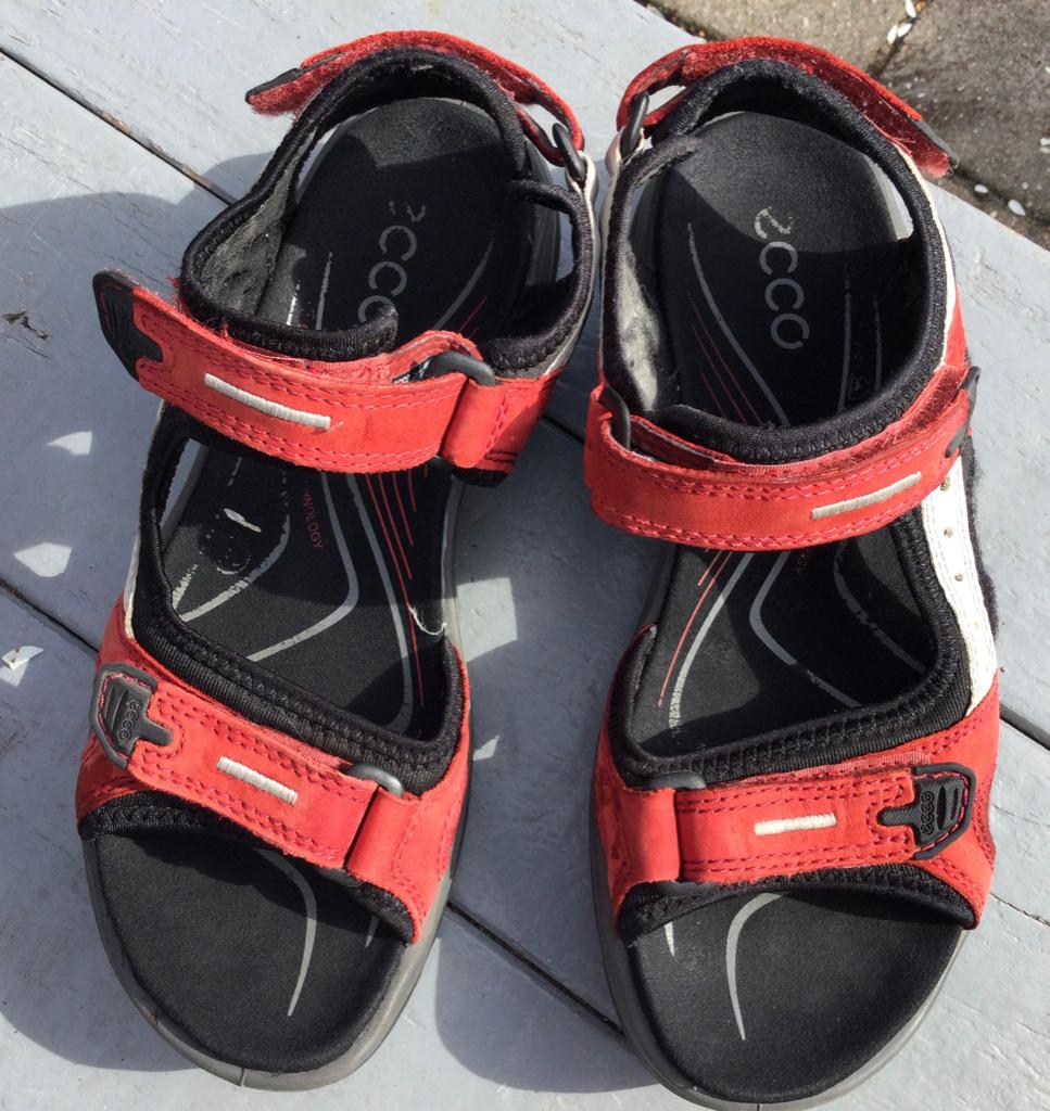 Ecco dames sandalen mt 38, Kleding | Dames, Schoenen, Ecco, Gedragen, Rood, Sandalen of Muiltjes