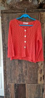 Truitje NORMAL CRAZY, Ophalen of Verzenden, Zo goed als nieuw, Maat 38/40 (M)