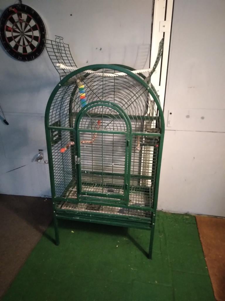 Goede degelijke papegaaien, en of grote parkieten kooi, Ophalen, Zo goed als nieuw, Metaal, Vogelkooi