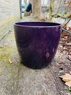 Aubergine kleurige paarse plantenpot groot, Tuin en Terras, Bloempotten, 25 tot 40 cm, Steen, Rond, Ophalen of Verzenden