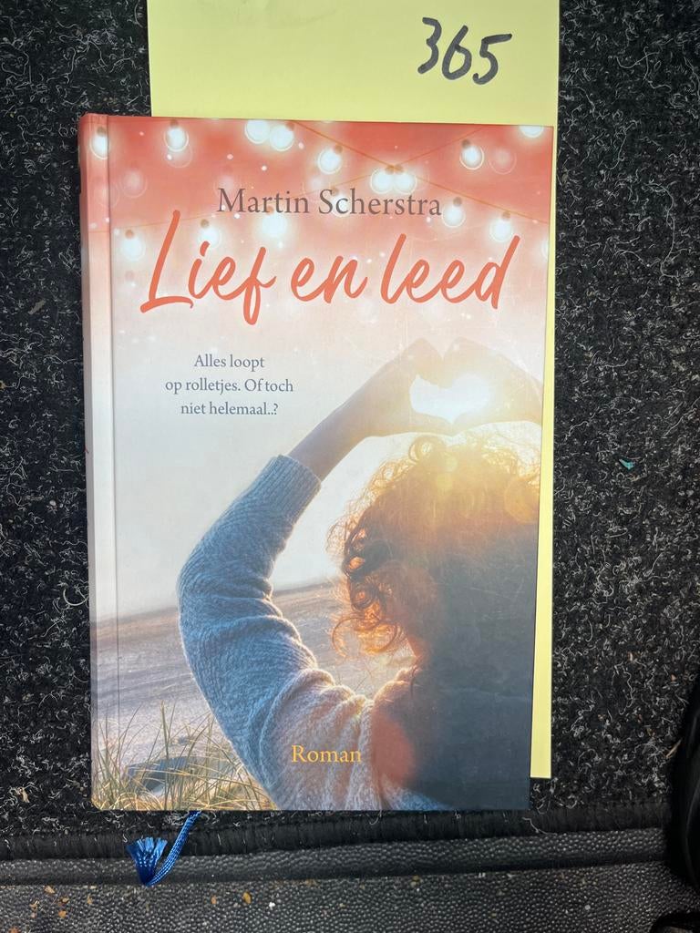Lief en leed - Martin Scherstra (Roman), Boeken, Ophalen of Verzenden, Zo goed als nieuw, Nederland