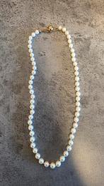 Parelketting met 14k sluiting, Verzenden, Zo goed als nieuw, Wit, Goud
