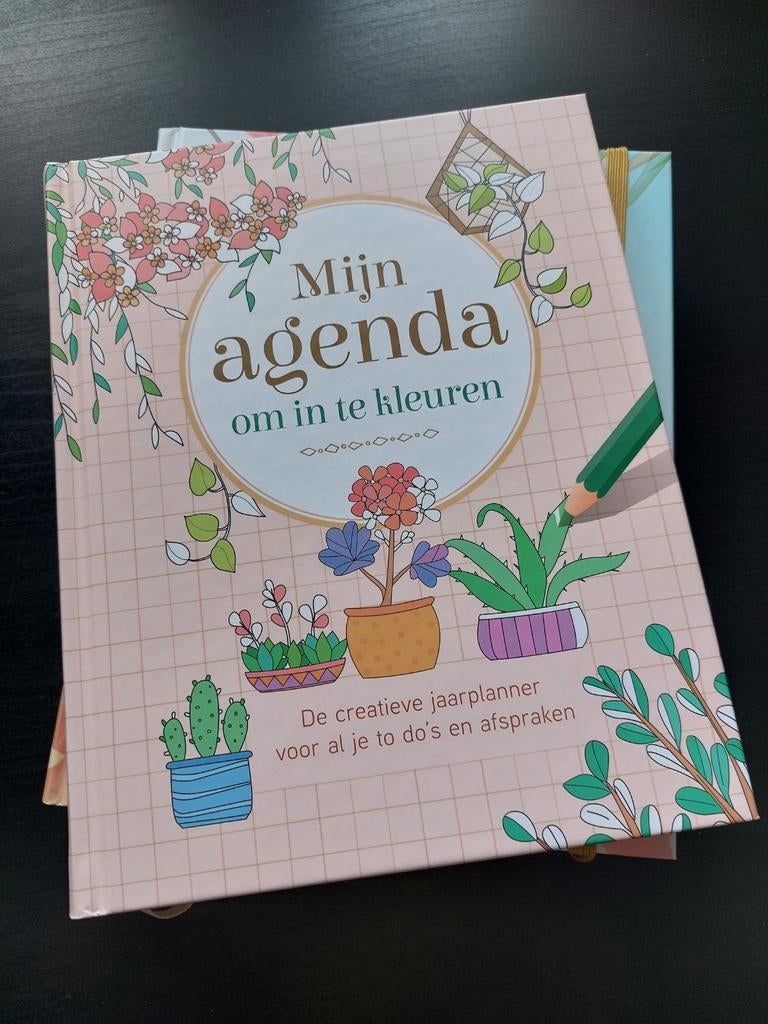 Mijn agenda om in te kleuren, Ophalen of Verzenden