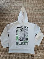 Minecraft hoodie, Ophalen of Verzenden