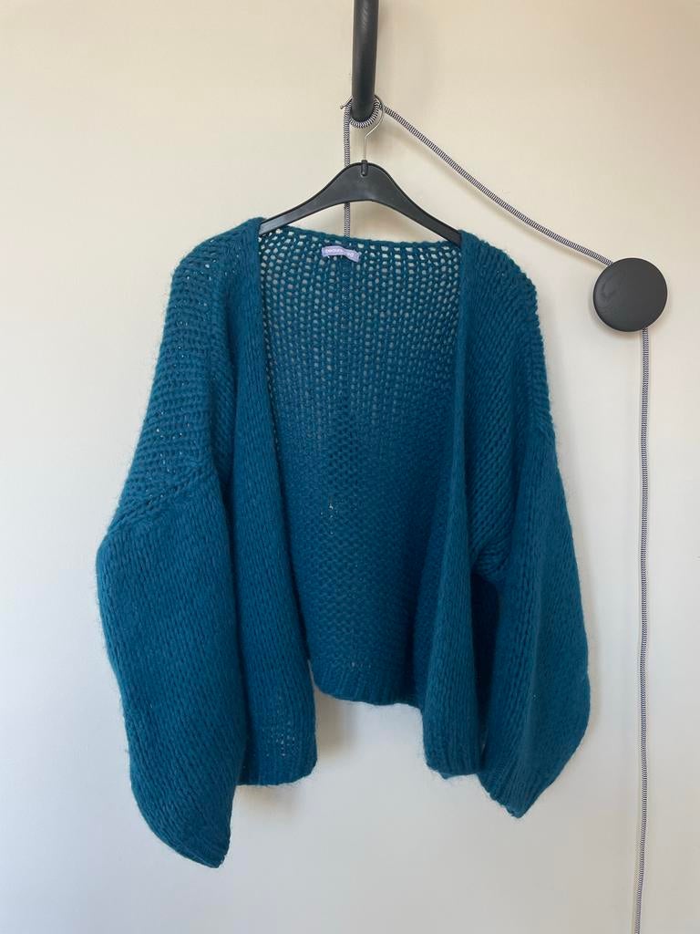Gebreid oversized vest Beauregard petrol one size, Ophalen of Verzenden, Gedragen, Maat 38/40 (M), Blauw