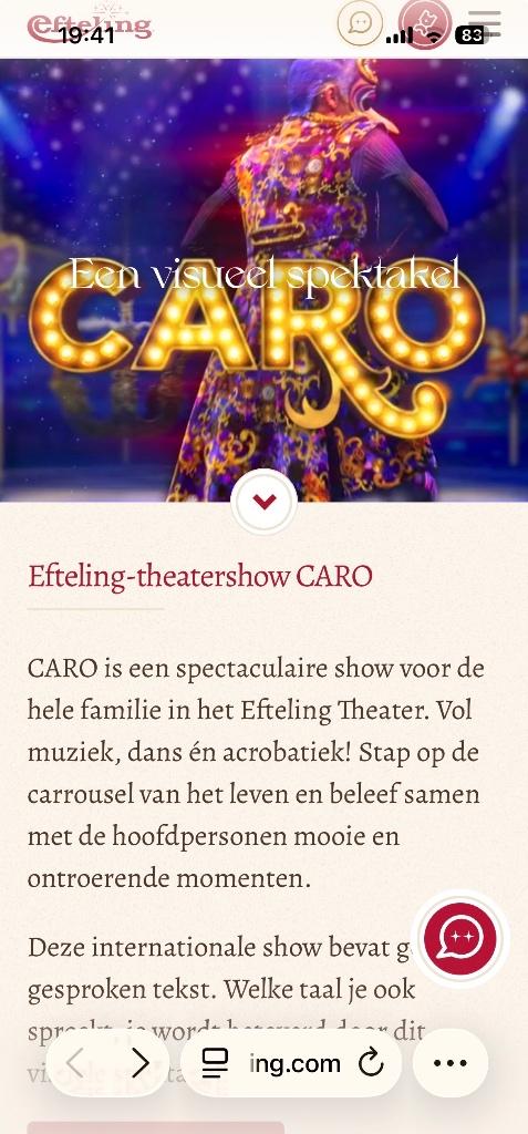 tickets Efteling theater Corso, Drie personen of meer, Ticket of Toegangskaart