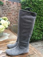 Dameslaars Purdey, Hoge laarzen, Ophalen of Verzenden, Zo goed als nieuw, Purdey