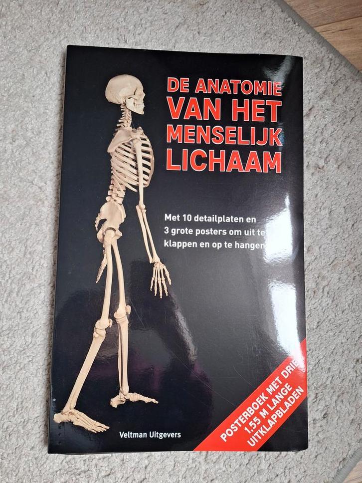 Anatomie Mens Posterboek - Veltman Uitgevers, Boeken, Techniek, Ophalen of Verzenden